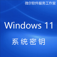 windows11專業(yè)版激活密鑰windows系統(tǒng)正版Windows11企業(yè)版激活碼 有發(fā)票 Win11系統(tǒng)U盤【正版】