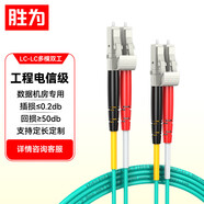 勝為 萬(wàn)兆多模工程電信級(jí)光纖跳線LC-LC 3米OM3-300雙芯尾纖 Φ2.0低煙無(wú)鹵LSZH抗彎曲跳纖光纖線FLLO-1030