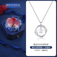 AIF莫比烏斯環(huán)999純銀項(xiàng)鏈女鎖骨鏈輕奢高級感生日禮物送女友送老婆 白.金色/永生花禮盒/可刻字
