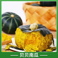 秋播各種蔬菜苗秧苗大全四季夏季西紅柿辣椒番茄子黃瓜苗南方種籽 綠貝貝南瓜種子20粒(+豆粕肥一斤
