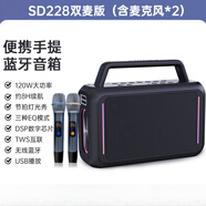 飛利浦（PHILIPS）SD228戶外藍牙音箱廣場舞音響大功率手提K歌會議教學(xué)擴音器 SD228雙麥版