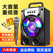拼搏者 便攜藍牙音箱低音炮大音量戶外小型廣場舞音響迷你手提家用帶麥克風手機微信收款語音播報器 升級版+16G U盤