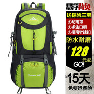 賽風(fēng)（SAFOOL）戶外登山包男女旅行背包大容量雙肩包多功能防水野旅游背包 60L 果綠色60L