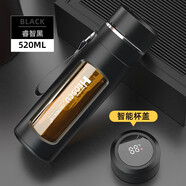 恩爾美（nRMEi）水杯男士大容量茶杯便攜車(chē)載辦公防摔耐高溫茶水分離泡茶玻璃杯子 商務(wù)黑520ml【升級智能+茶隔款】