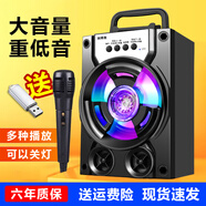 拼搏者 便攜藍牙音箱低音炮大音量戶(hù)外小型廣場(chǎng)舞音響迷你手提家用帶麥克風(fēng)手機微信收款語(yǔ)音播報器 升級版【送話(huà)筒+送U盤(pán)】