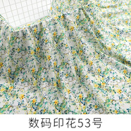 程寶寶人造棉布料新品布人造棉布料棉綢布料夏季連衣裙服裝綿綢面料2024 數(shù)碼印花53號(半米價)