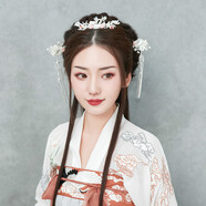 日常古裝漢服發(fā)飾發(fā)簪頭飾古風(fēng)復古流蘇古代頭飾發(fā)梳步搖舞蹈表演 銀色全套裝送耳環(huán)