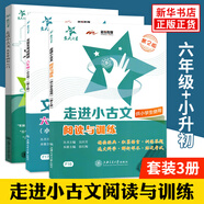 交大之星走進(jìn)小古文 小學(xué)語(yǔ)文小古文6年級(jí)小升初考試 精選文言文考試真題閱讀技法 走進(jìn)小古文+文言文考試閱讀+文言字詞句入門(mén)