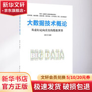 大數(shù)據(jù)技術(shù)概論:從虛幻走向真實(shí)的數(shù)據(jù)世界 婁巖 編著 清華大學(xué)出版社 書籍