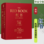 紅書red book 榮格手稿插圖 精神分析師榮格手繪心理影像夢境幻影心理咨詢 治療精神分析心理學(xué) 紅書