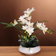 高檔蕙蘭仿真花假花帶花瓶套裝擺件家居客廳電視柜餐桌前臺(tái)裝飾花 白瓶+白色套裝