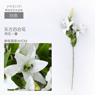 野派 百合仿真花束假花唯美簡約裝飾絹花家居客廳電視柜裝飾擺件 單枝白色百合/高80CM
