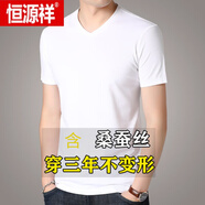 恒源祥（HYX）短袖t恤V領(lǐng)桑蠶絲品牌男裝純色真絲半袖體恤雞心領(lǐng)冰 絲上衣男裝t BP-9646V領(lǐng) 白色 180=XXL建議(160-170斤)