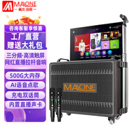 曼龍（MALONE）廣場舞音響帶顯示屏戶外網(wǎng)紅直播唱k歌專用家用K歌便攜拉桿音箱視頻機(jī)無線話筒卡拉OK一體機(jī) KT-6110  2原裝話筒+禮品