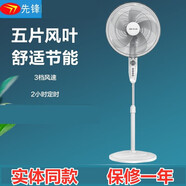 先鋒（SINGFUN）電風(fēng)扇家用立式靜音工業(yè)扇搖頭定時(shí)機(jī)械式落地扇FS40-11B