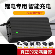 鋰電池電動車充電器48V3A36V60V5A24V2A72伏鋰離子哈雷平衡車滑板 36V2A視訊攝影機(jī)(電壓42V)