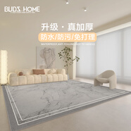 布迪思防水圈絨地毯客廳臥室奶油風(fēng)輕奢高級北歐INS風(fēng)沙發(fā)茶幾毯可定制 澤洋【加厚圈絨】 定制尺寸100每平聯(lián)系客服