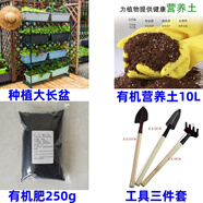 家庭種植蔬菜種子大全四季盆栽陽(yáng)臺庭院小菜園農家有機春夏秋籽孑 大長(cháng)盆套餐+種子1包（品種備注）