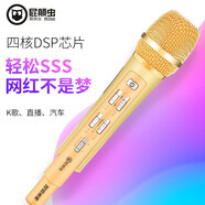 屁顛蟲（Hifier） 無線話筒麥克風(fēng)全民K歌神器專業(yè)錄音直播聲卡套裝車載K歌唱歌藍(lán)牙版本600手機(jī)唱歌麥克風(fēng) MC-700藍(lán)牙版