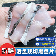 十里饞連云港黑魚片免漿袋裝商用半成品批發(fā)火鍋食材魚片無刺水煮魚10包 免漿黑魚片*6包