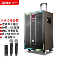 奇聲（QISHENG）廣場(chǎng)舞音響藍(lán)牙拉桿音箱家用K歌戶外直播15吋低音三分頻擴(kuò)音器帶無(wú)線話筒 L71 12吋低音三分頻音響+雙話筒