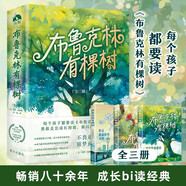 布魯克林有棵樹(shù)（全三冊(cè)）親愛(ài)的弗朗茜 白裙與玫瑰 跨過(guò)威廉斯堡大橋 貝蒂·史密斯著暢銷(xiāo)八十余年的青少年讀物成長(zhǎng)小說(shuō) 中小學(xué)課外閱讀