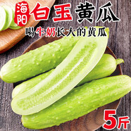 土地母親計(jì)劃 圣女果水果黃瓜小柿子千禧小西紅柿茄瓜果小黃瓜小青瓜代餐輕食 5斤 白玉黃瓜【SF速達(dá)】