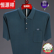 恒源祥 T恤男短袖純色翻領(lǐng)桑蠶絲中老年爸爸裝夏季薄款男士T恤衫 3075湖蘭(真口袋) 2XL 185【建議175-190斤】