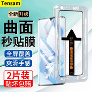 Tensam 適用榮耀80鋼化膜榮耀80Pro曲面屏全覆蓋防窺膜高清抗藍光防爆玻璃水凝軟膜 榮耀80【曲面秒貼丨自帶神器】高清*2片裝