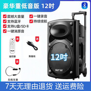 先科（SAST）廣場(chǎng)舞音響專(zhuān)業(yè)戶(hù)外k歌音箱帶話(huà)筒家用拉桿藍牙手拉麥克風(fēng) 12吋+單耳麥
