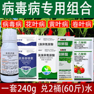 病毒病專用藥番茄黃瓜果樹花卉花葉小葉黃葉畸形葉型病毒一噴凈 病毒病專用套餐（兩噴霧器）