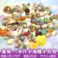 曦凰天然貝殼海螺殼海星珊瑚石兒童玩具裝飾擺件DIY卷貝魚寄居蟹 套餐:半斤小海螺小貝殼