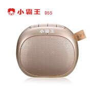 小霸王 D55藍牙音箱便攜式可愛迷你戶外運動小音響低音炮插卡音箱 土豪金