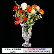 弗萊文茨北歐ins風(fēng)玻璃花瓶精致簡(jiǎn)約綠植鮮花插花擺件家用客廳透明小花瓶 冰裂花瓶（大號）