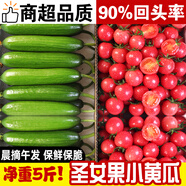 土地母親計(jì)劃 圣女果水果黃瓜小柿子千禧小西紅柿茄瓜果小黃瓜小青瓜代餐輕食 圣女果+小黃瓜 5斤 【各2.5斤】