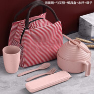 巧居巧具小麥秸稈餐具泡面碗帶蓋飯碗個(gè)人專(zhuān)用碗具套裝湯碗大號(hào)碗筷家用 【少女粉】8件套