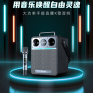 維爾晶（W-King）T6S K歌音箱便攜式直播樂(lè )器演奏音響大功率無(wú)線(xiàn)藍牙 T6S 單麥