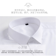 單郎精品白色假領(lǐng)子男女通用襯衫領(lǐng)百搭休閑毛衣裝飾領(lǐng)尖領(lǐng)方領(lǐng)節(jié)約領(lǐng) 高棉白色假領(lǐng)子 43.44.45建議【160--220斤】