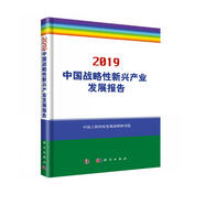 2019中國戰(zhàn)略性新興產(chǎn)業(yè)發(fā)展報告