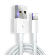搞怪豬（GAGZ） 充電器插頭數(shù)據(jù)充電線快充適用于安卓手機(jī)OPPO華為榮耀紅米小米三星天語魅族蘋果 蘋果數(shù)據(jù)線快充白色1米