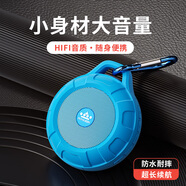 朗琴（ROYQUEEN） T350藍(lán)牙音箱無(wú)線迷你小音響便攜式小型戶外運(yùn)動(dòng)跑步防水可插卡音樂(lè)播放器大音量高音質(zhì)隨身聽(tīng) 瀚藍(lán)色 官方標(biāo)配 數(shù)據(jù)線+音頻線+掛鉤
