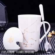 錦順鑫榮十二星座創(chuàng)意個(gè)性杯子陶瓷馬克杯帶蓋勺家用喝水杯子辦公茶杯情侶 白色水瓶(帶蓋勺) 401-500ml