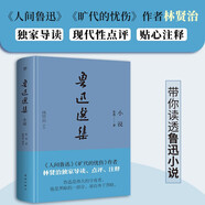 創(chuàng)美工廠 魯迅選集 精裝典藏 未刪減版 全新導讀+點評+釋注 中國現(xiàn)代文學作品