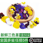 綠食者 新鮮三色堇50朵 小角堇三色花酒店西餐烘焙糕點(diǎn)擺盤裝飾點(diǎn)綴花朵