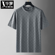 畢蒙（bimeng）薄款寬松休閑短袖t恤特大碼男士圓領(lǐng)冰絲體恤胖子彈力半袖衫 灰色 2XL（160-190斤）