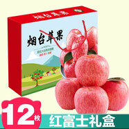 甜醉了 煙臺(tái)蘋果棲霞紅富士新鮮水果生鮮山東特產(chǎn)脆甜整箱平果禮盒禮品 精品禮盒（12枚-85#大果）