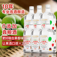 谷養康糧食酒【泡酒用酒】低酸酯泡水果泡果酒純糧食酒清香高粱酒專(zhuān)業(yè)浸泡酒 42度 500mL 6瓶 【泡水果類(lèi)】?jì)?yōu)選