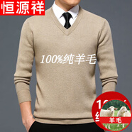 恒源祥羊毛絨衫100不起球羊毛絨毛衫男加 厚中年V 領(lǐng)毛衣秋冬季 米駝601 170碼(建議125-140斤穿