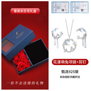 蘇十六望月兔耳釘女925銀耳環(huán)甜美耳墜飾品女生七夕禮物送女友老婆閨蜜 銀色2件套（項鏈+耳釘）