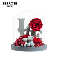 西羅斯（SEEROSE）永生花LOVE對熊保鮮玫瑰花送閨蜜新婚女生朋友情人教師節(jié)生日禮物 LOVE-相濡以沫 全國7倉發(fā)-不支持代寫賀卡